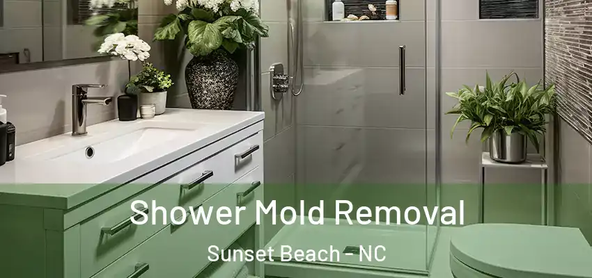 Shower Mold Removal Sunset Beach - NC
