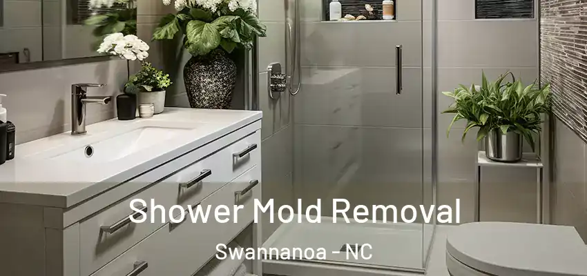  Shower Mold Removal Swannanoa - NC