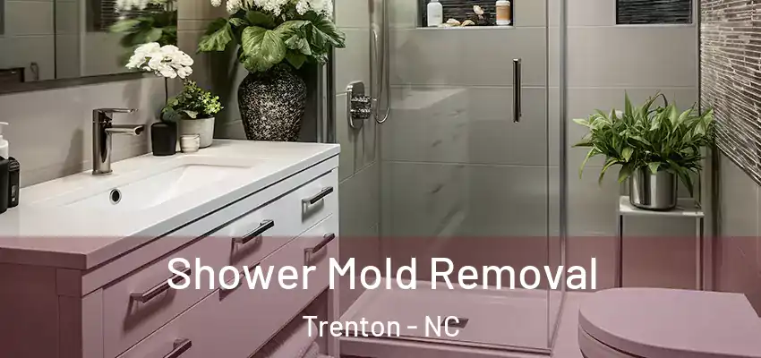 Shower Mold Removal Trenton - NC