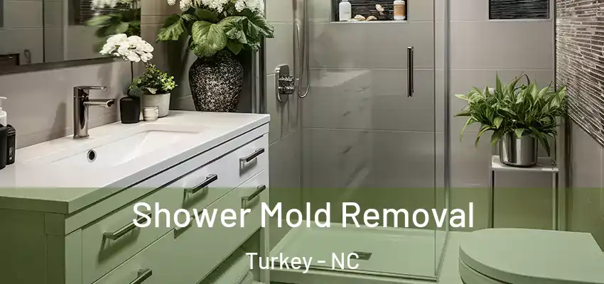Shower Mold Removal Turkey - NC