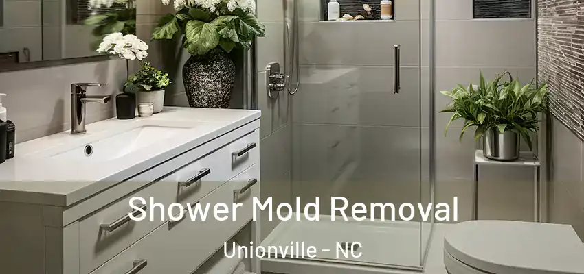 Shower Mold Removal Unionville - NC