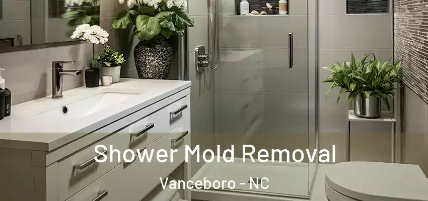 Shower Mold Removal Vanceboro - NC