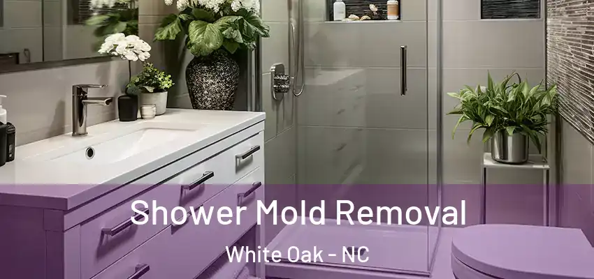 Shower Mold Removal White Oak - NC