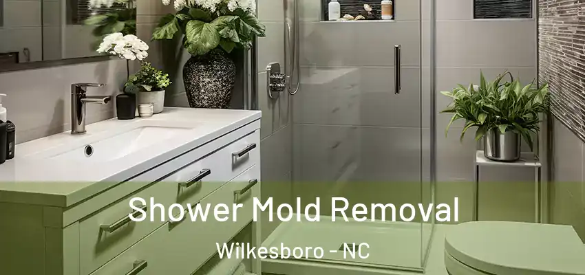 Shower Mold Removal Wilkesboro - NC