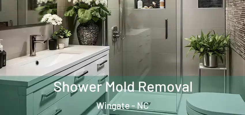  Shower Mold Removal Wingate - NC