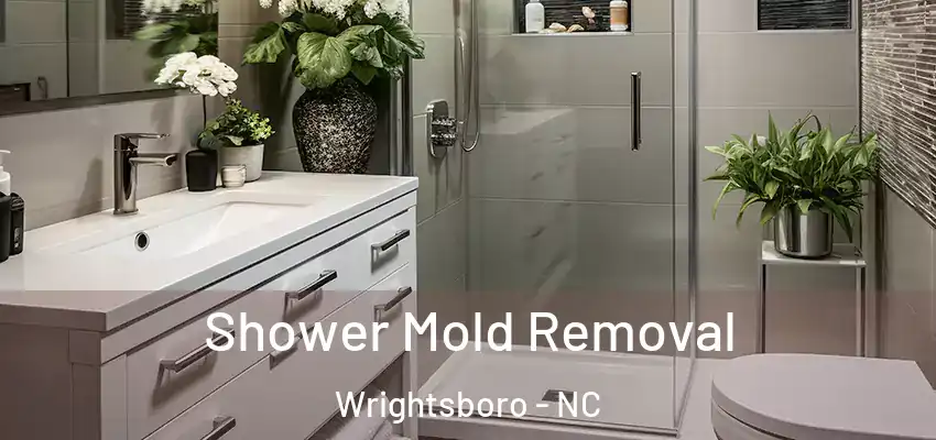  Shower Mold Removal Wrightsboro - NC